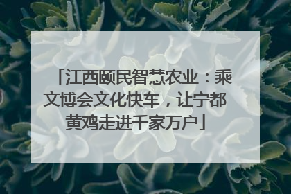 江西颐民智慧农业：乘文博会文化快车，让宁都黄鸡走进千家万户