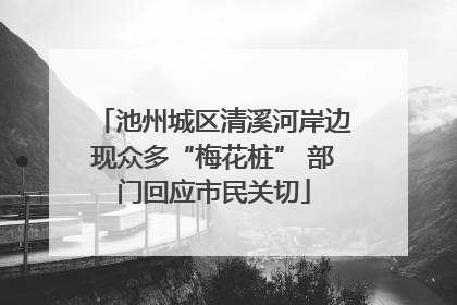 池州城区清溪河岸边现众多“梅花桩” 部门回应市民关切