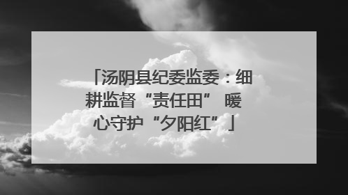 汤阴县纪委监委：细耕监督“责任田” 暖心守护“夕阳红”