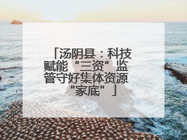 汤阴县：科技赋能“三资”监管守好集体资源“家底”