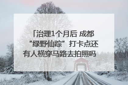 治理1个月后 成都“绿野仙踪”打卡点还有人横穿马路去拍照吗？｜民情瞭望