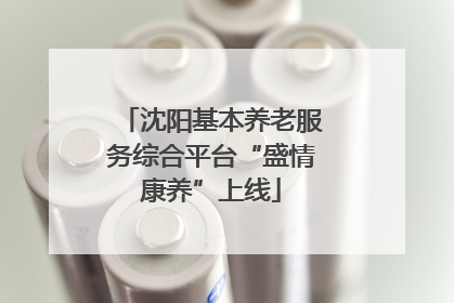 沈阳基本养老服务综合平台“盛情康养”上线
