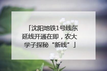 沈阳地铁1号线东延线开通在即，农大学子探秘“新线”