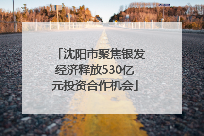 沈阳市聚焦银发经济释放530亿元投资合作机会
