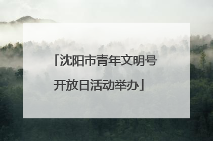 沈阳市青年文明号开放日活动举办