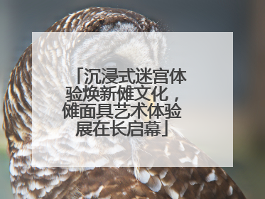 沉浸式迷宫体验焕新傩文化，傩面具艺术体验展在长启幕