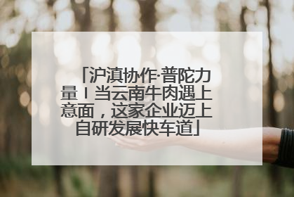 沪滇协作·普陀力量〡当云南牛肉遇上意面，这家企业迈上自研发展快车道