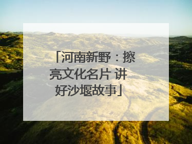 河南新野：擦亮文化名片 讲好沙堰故事