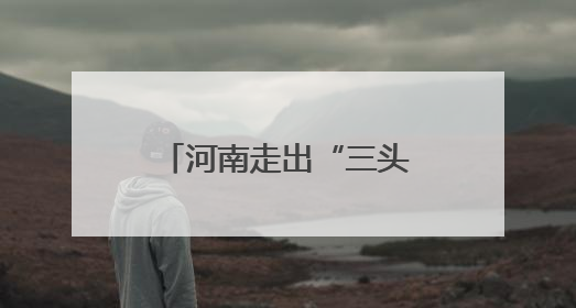 河南走出“三头象”，一头驮着Labubu