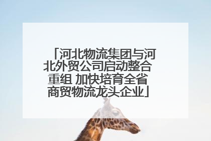 河北物流集团与河北外贸公司启动整合重组 加快培育全省商贸物流龙头企业