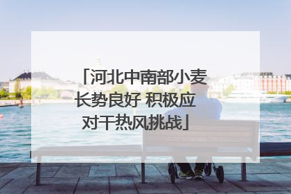 河北中南部小麦长势良好 积极应对干热风挑战