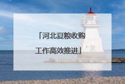 河北夏粮收购工作高效推进