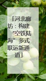 河北廊坊：构建“空铁陆海”多式联运新通道
