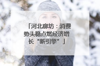河北廊坊：消费势头稳点燃经济增长“新引擎”