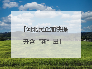 河北民企加快提升含“新”量