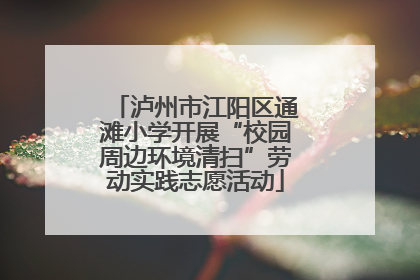 泸州市江阳区通滩小学开展“校园周边环境清扫”劳动实践志愿活动