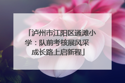 泸州市江阳区通滩小学：队前考核展风采 成长路上启新程