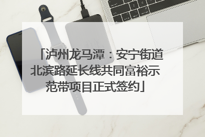 泸州龙马潭：安宁街道北滨路延长线共同富裕示范带项目正式签约