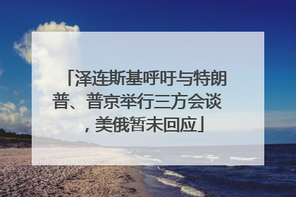 泽连斯基呼吁与特朗普、普京举行三方会谈，美俄暂未回应