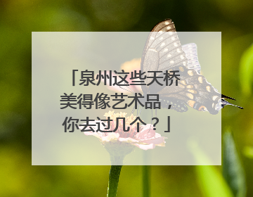 泉州这些天桥美得像艺术品，你去过几个？