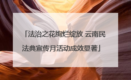 法治之花绚烂绽放 云南民法典宣传月活动成效显著