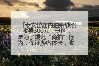 泰安岱庙内拍婚纱照收费300元，景区：是为了规范“商拍”行为，保证游客体验，收取费用全部上交国库