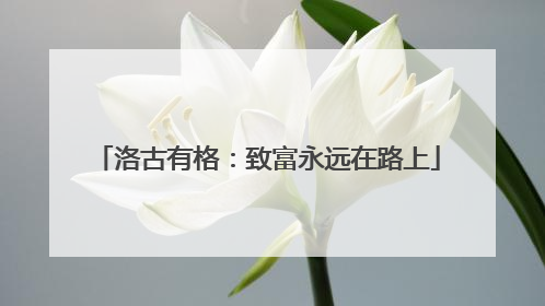洛古有格：致富永远在路上