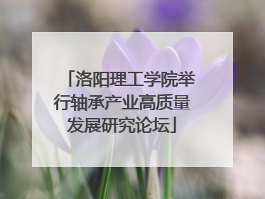 洛阳理工学院举行轴承产业高质量发展研究论坛