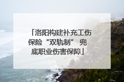 洛阳构建补充工伤保险“双轨制” 兜底职业伤害保障