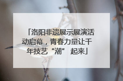 洛阳非遗展示展演活动启幕，青春力量让千年技艺“潮” 起来