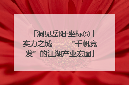 洞见岳阳·坐标⑤丨实力之城——“千帆竞发”的江湖产业宏图