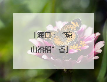 海口：“琼山福稻”香