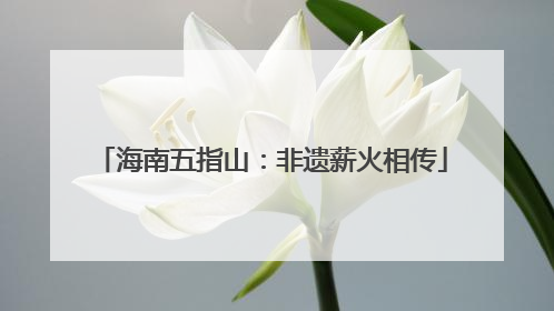 海南五指山：非遗薪火相传