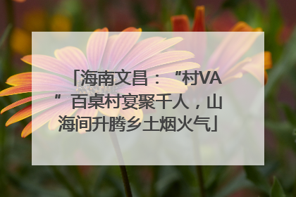 海南文昌：“村VA”百桌村宴聚千人，山海间升腾乡土烟火气