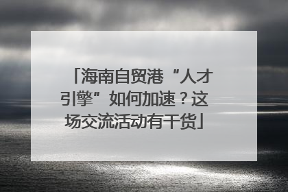 海南自贸港“人才引擎”如何加速？这场交流活动有干货