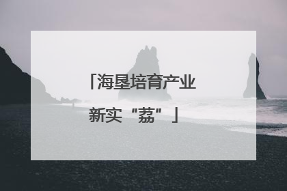 海垦培育产业新实“荔”