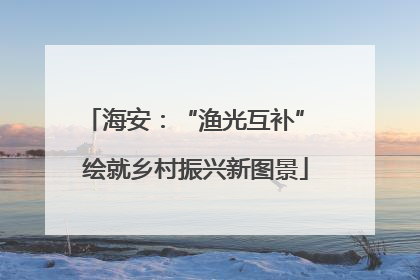 海安：“渔光互补” 绘就乡村振兴新图景