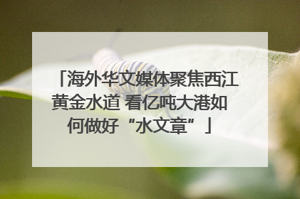 海外华文媒体聚焦西江黄金水道 看亿吨大港如何做好“水文章”