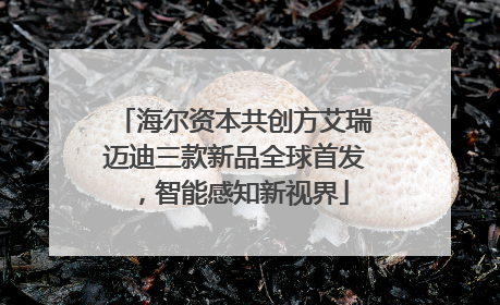 海尔资本共创方艾瑞迈迪三款新品全球首发，智能感知新视界