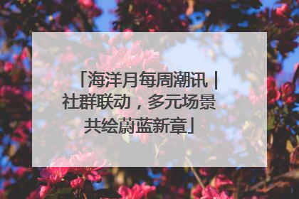 海洋月每周潮讯｜社群联动，多元场景共绘蔚蓝新章