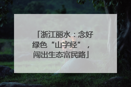 浙江丽水：念好绿色“山字经”，闯出生态富民路