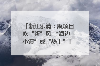 浙江乐清：聚项目吹“新”风 “海边小镇”成“热土”