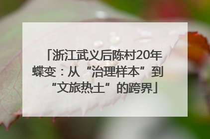 浙江武义后陈村20年蝶变：从“治理样本”到“文旅热土”的跨界