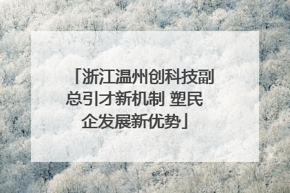 浙江温州创科技副总引才新机制 塑民企发展新优势