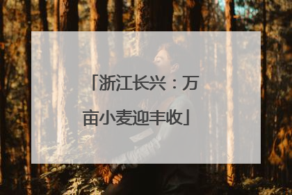 浙江长兴：万亩小麦迎丰收