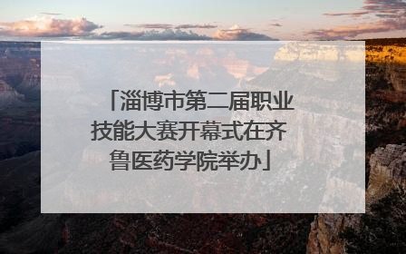 淄博市第二届职业技能大赛开幕式在齐鲁医药学院举办