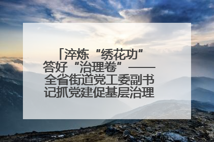 淬炼“绣花功” 答好“治理卷”——全省街道党工委副书记抓党建促基层治理培训示范班侧记