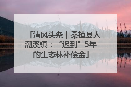 清风头条｜桑植县人潮溪镇：“迟到”5年的生态林补偿金