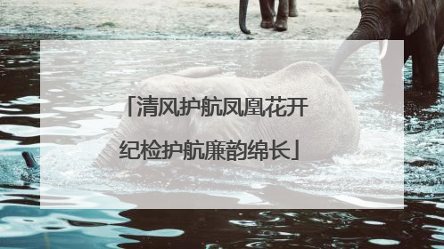 清风护航凤凰花开 纪检护航廉韵绵长