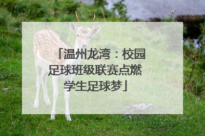 温州龙湾：校园足球班级联赛点燃学生足球梦